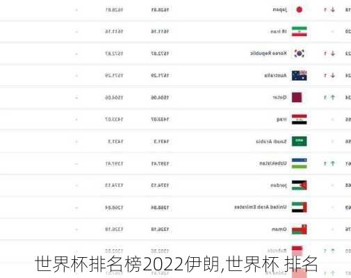 世界杯排名榜2022伊朗,世界杯 排名