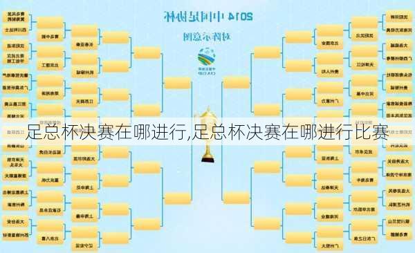 足总杯决赛在哪进行,足总杯决赛在哪进行比赛
