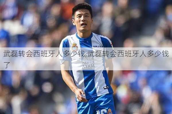武磊转会西班牙人多少钱,武磊转会西班牙人多少钱了