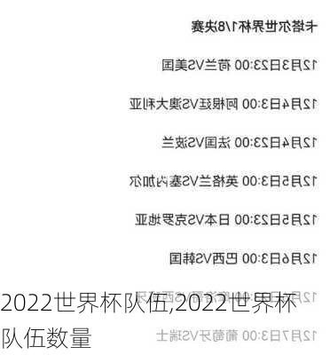2022世界杯队伍,2022世界杯队伍数量