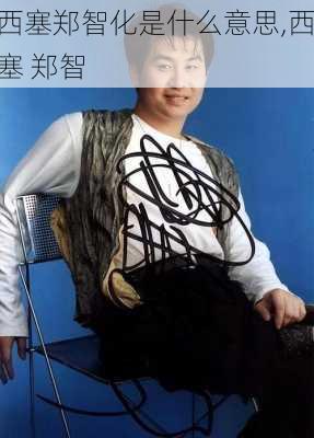 西塞郑智化是什么意思,西塞 郑智