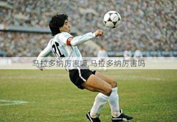 马拉多纳厉害嘛,马拉多纳厉害吗
