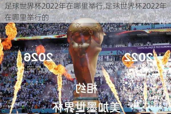 足球世界杯2022年在哪里举行,足球世界杯2022年在哪里举行的