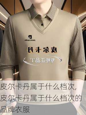 皮尔卡丹属于什么档次,皮尔卡丹属于什么档次的品牌衣服