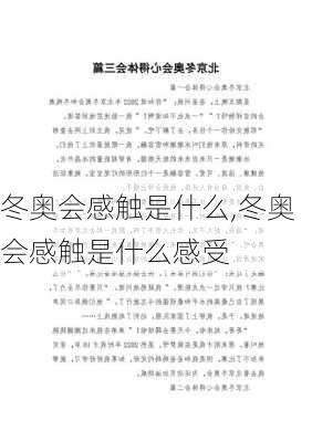 冬奥会感触是什么,冬奥会感触是什么感受