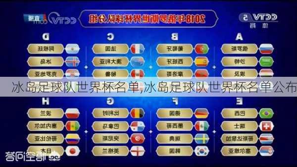 冰岛足球队世界杯名单,冰岛足球队世界杯名单公布