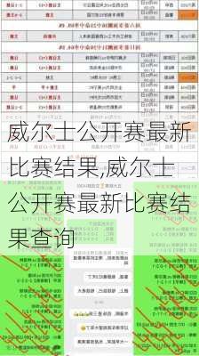 威尔士公开赛最新比赛结果,威尔士公开赛最新比赛结果查询