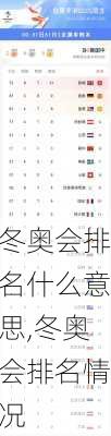 冬奥会排名什么意思,冬奥会排名情况
