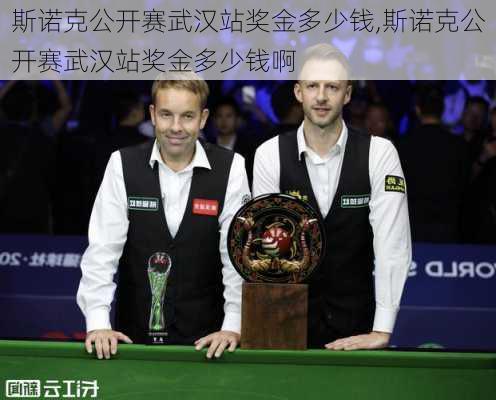 斯诺克公开赛武汉站奖金多少钱,斯诺克公开赛武汉站奖金多少钱啊
