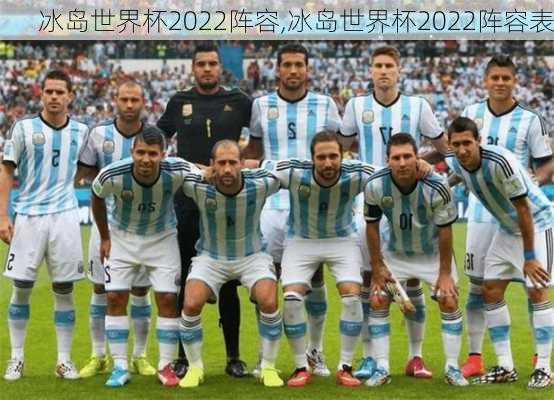 冰岛世界杯2022阵容,冰岛世界杯2022阵容表