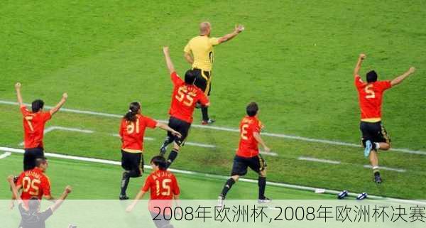 2008年欧洲杯,2008年欧洲杯决赛