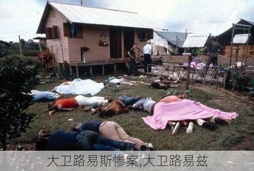 大卫路易斯惨案,大卫路易兹
