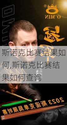 斯诺克比赛结果如何,斯诺克比赛结果如何查询