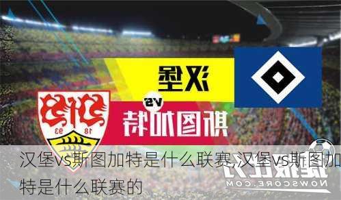 汉堡vs斯图加特是什么联赛,汉堡vs斯图加特是什么联赛的
