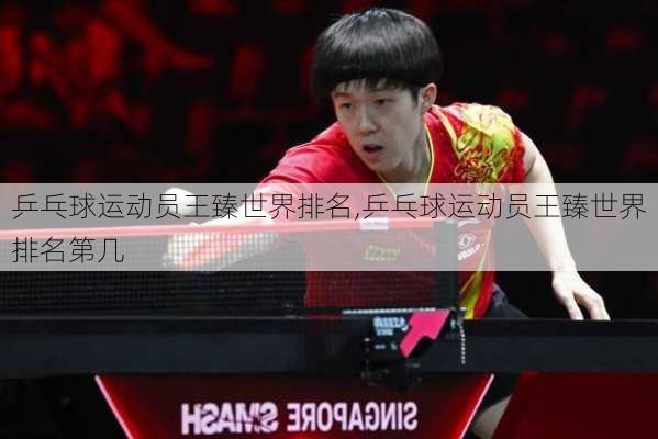 乒乓球运动员王臻世界排名,乒乓球运动员王臻世界排名第几