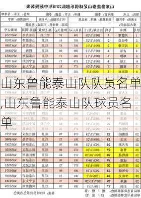 山东鲁能泰山队队员名单,山东鲁能泰山队球员名单