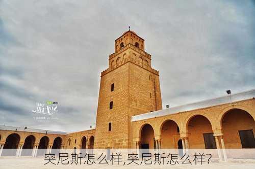 突尼斯怎么样,突尼斯怎么样?