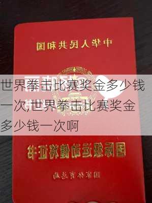 世界拳击比赛奖金多少钱一次,世界拳击比赛奖金多少钱一次啊