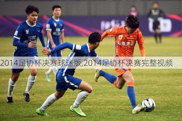 2014足协杯决赛球迷版,2014足协杯决赛完整视频