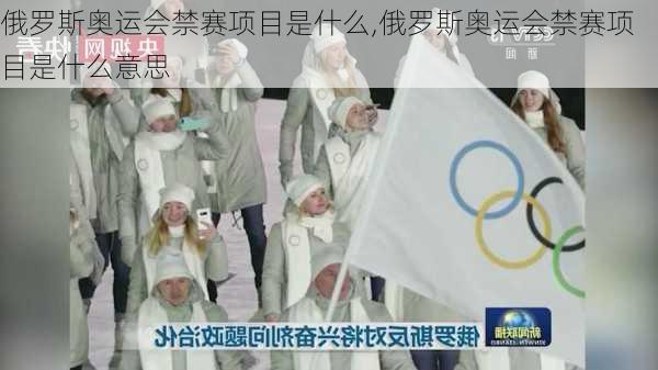 俄罗斯奥运会禁赛项目是什么,俄罗斯奥运会禁赛项目是什么意思