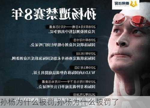 孙杨为什么被罚,孙杨为什么被罚了