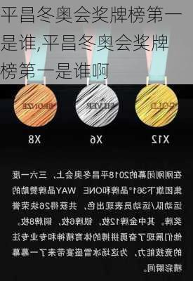 平昌冬奥会奖牌榜第一是谁,平昌冬奥会奖牌榜第一是谁啊