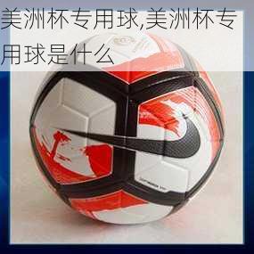 美洲杯专用球,美洲杯专用球是什么