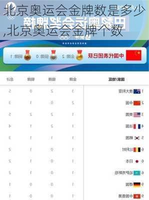 北京奥运会金牌数是多少,北京奥运会金牌个数