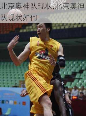 北京奥神队现状,北京奥神队现状如何