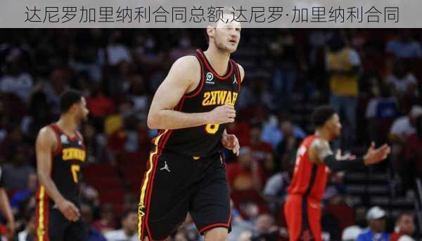 达尼罗加里纳利合同总额,达尼罗·加里纳利合同