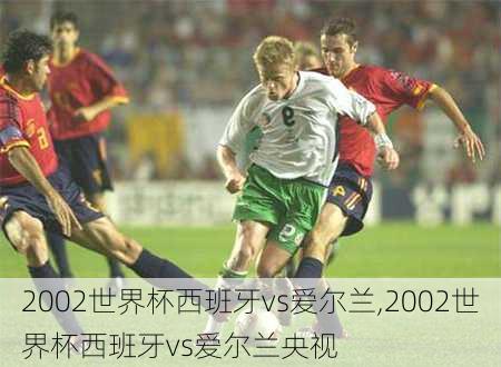 2002世界杯西班牙vs爱尔兰,2002世界杯西班牙vs爱尔兰央视