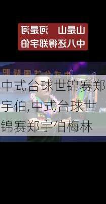 中式台球世锦赛郑宇伯,中式台球世锦赛郑宇伯梅林