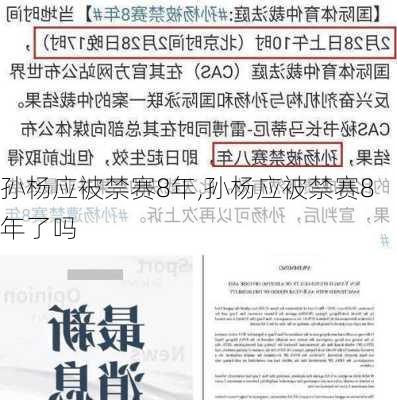 孙杨应被禁赛8年,孙杨应被禁赛8年了吗