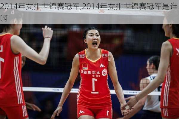 2014年女排世锦赛冠军,2014年女排世锦赛冠军是谁啊