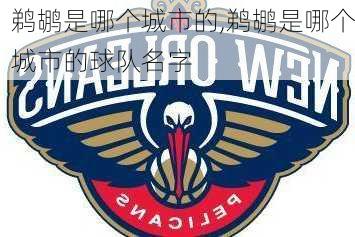 鹈鹕是哪个城市的,鹈鹕是哪个城市的球队名字