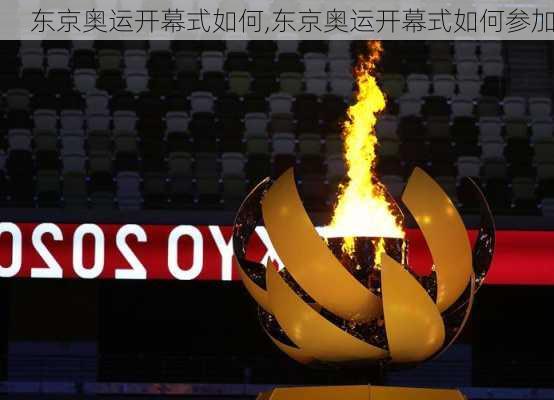 东京奥运开幕式如何,东京奥运开幕式如何参加