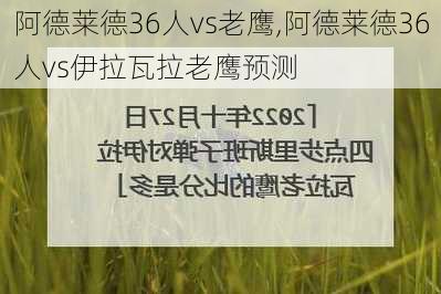 阿德莱德36人vs老鹰,阿德莱德36人vs伊拉瓦拉老鹰预测