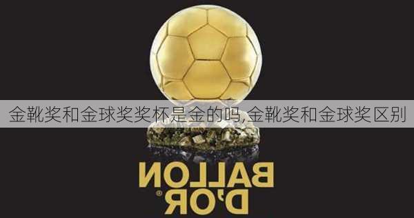 金靴奖和金球奖奖杯是金的吗,金靴奖和金球奖区别