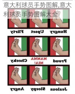 意大利球员手势图解,意大利球员手势图解大全