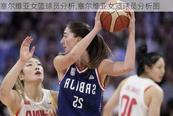 塞尔维亚女篮球员分析,塞尔维亚女篮球员分析图