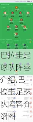 巴拉圭足球队阵容介绍,巴拉圭足球队阵容介绍图