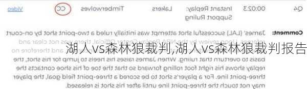 湖人vs森林狼裁判,湖人vs森林狼裁判报告