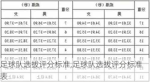 足球队选拔评分标准,足球队选拔评分标准表