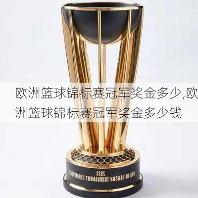 欧洲篮球锦标赛冠军奖金多少,欧洲篮球锦标赛冠军奖金多少钱