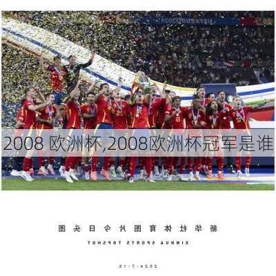 2008 欧洲杯,2008欧洲杯冠军是谁