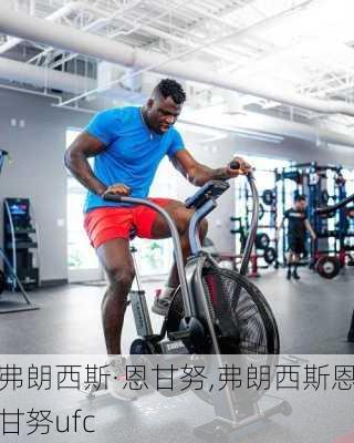 弗朗西斯·恩甘努,弗朗西斯恩甘努ufc