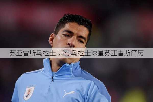 苏亚雷斯乌拉圭总统,乌拉圭球星苏亚雷斯简历