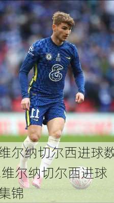 维尔纳切尔西进球数,维尔纳切尔西进球集锦