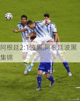 阿根廷2:1波黑,阿根廷波黑集锦