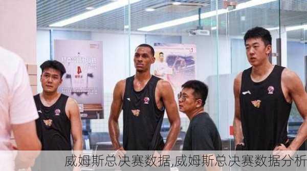 威姆斯总决赛数据,威姆斯总决赛数据分析